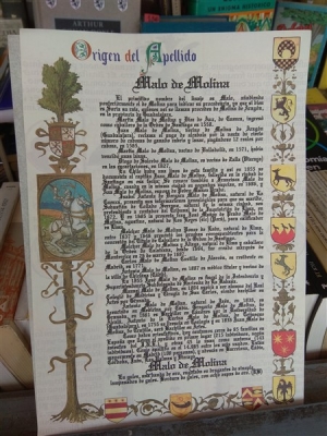 Lámina Origen del Apellido