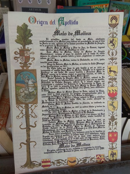 Lámina Origen del Apellido